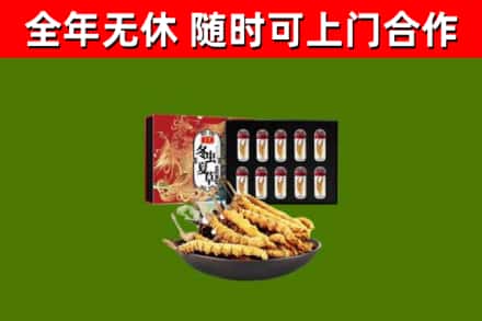 宁乡市烟酒回收冬虫夏草礼盒.jpg