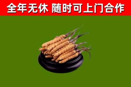 宁乡市烟酒回收冬虫夏草.jpg