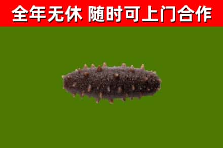 宁乡市烟酒回收干海参.jpg